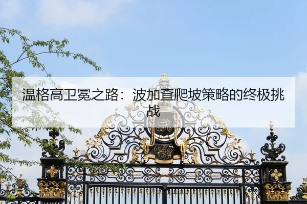 wen-ge-gao-wei-mian-zhi-lu-bo-jia-cha-pa-po-ce-lve-de-zhong-ji-tiao-zhan-3-837.jpg